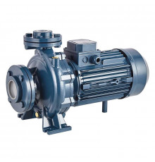 Консольно-моноблочный фланцевый насос PURITY PSTC 32-200/30 (N)