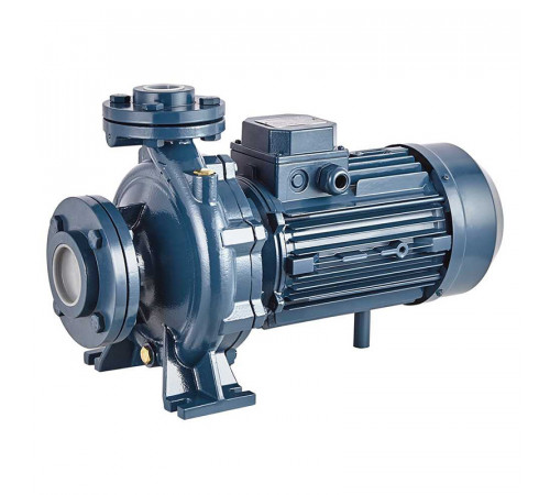 Консольно-моноблочный фланцевый насос PURITY PSTC 32-250/55D (N)